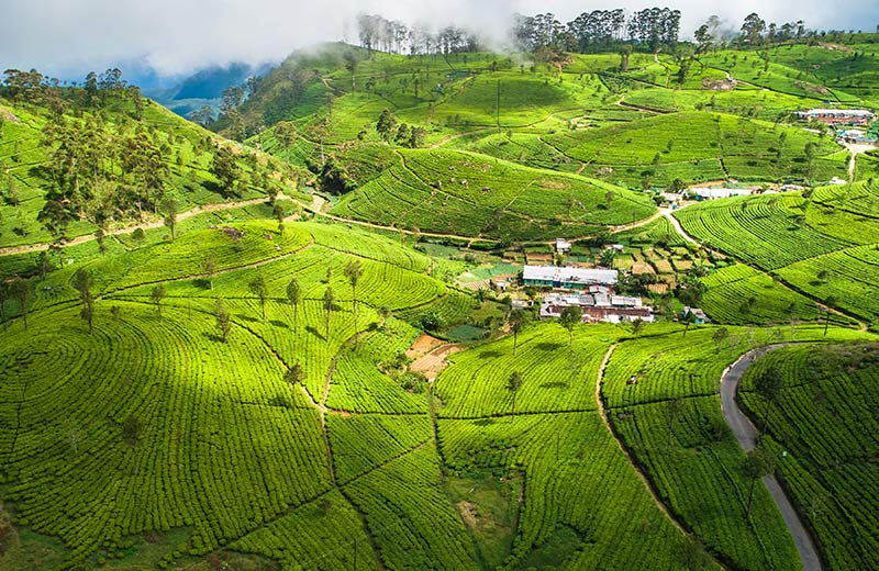 Departure to Colombo